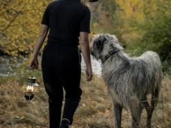 Barebones Railroad Lantern - Olive -Campingwinkel 3352591 819665012811 5